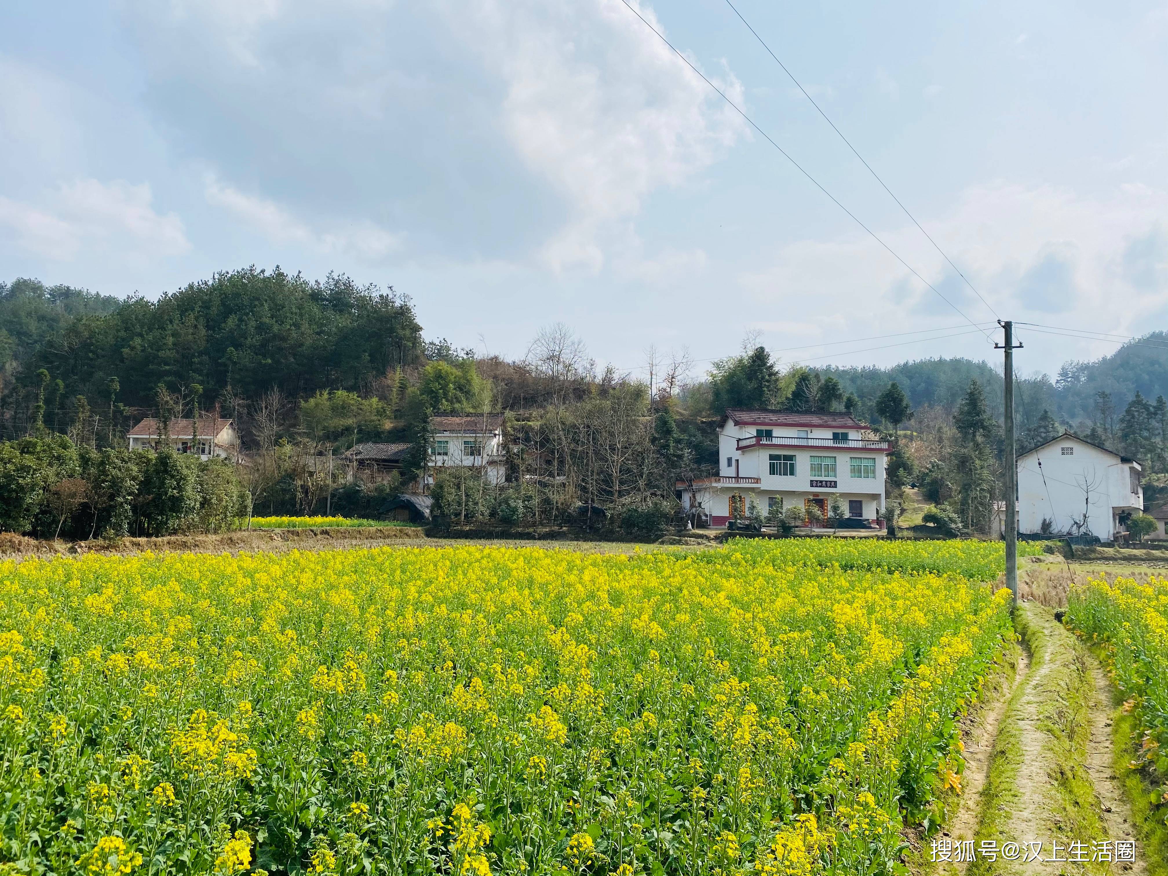 三月的汉中原野,明媚绚烂,树绕村庄,有桃花