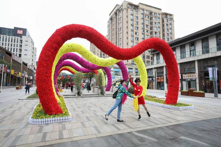 巴南又在搞花展60万株香约龙洲湾