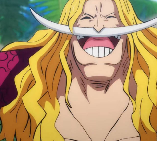 明哥老沙白胡子罗杰点赞他们的音配笑得太有才