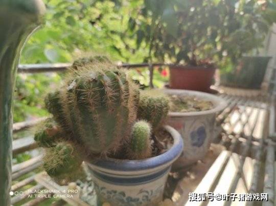 利器|怪兽级游戏利器君临天下 黑鲨4Pro游戏手机首发开箱评测