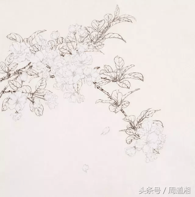 d19b6822ae1341d2b1b3257526f56ba5.png