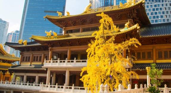 中国最“牛”寺庙，占据上海中心地段，连开发商都不敢拆！