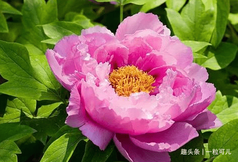 05a676626cc54133847999e1a4dd7e13.png