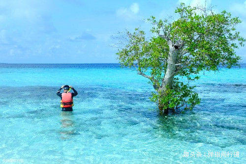 马来西亚“梦幻小岛”，海水堪比马尔代夫，只有“海岛控”才知道
