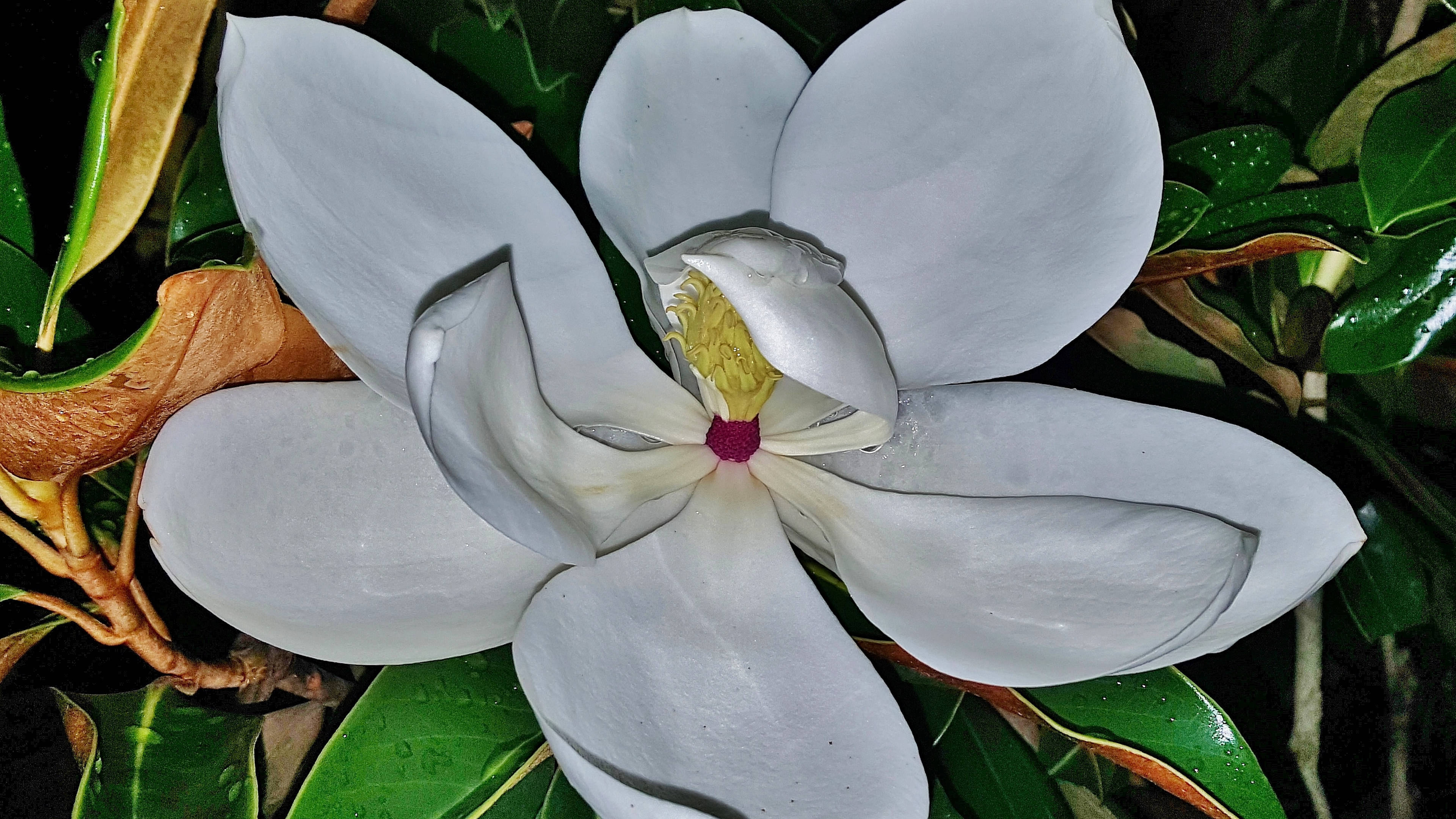 3月26日 30日星座运势 白羊座积极主动 射手座保持冷静 感情