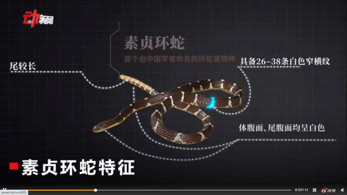 人白素贞是白蛇啊…你这明显是花花蛇