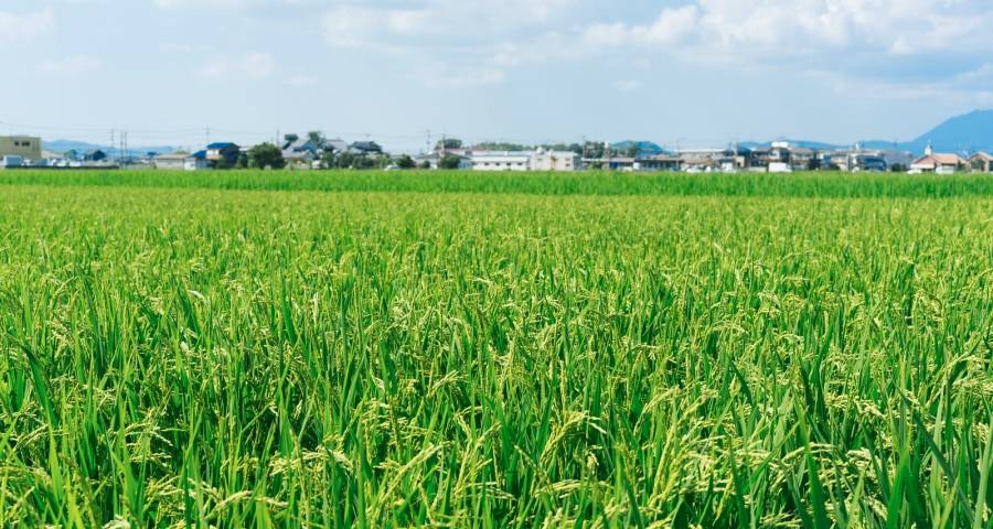 家电业今年还会迎来新一轮的春天吗？-家电圈官网