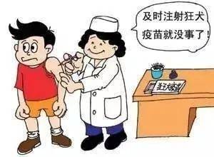 常德疾控温馨提示：进入春季，请谨防动物咬伤_接种