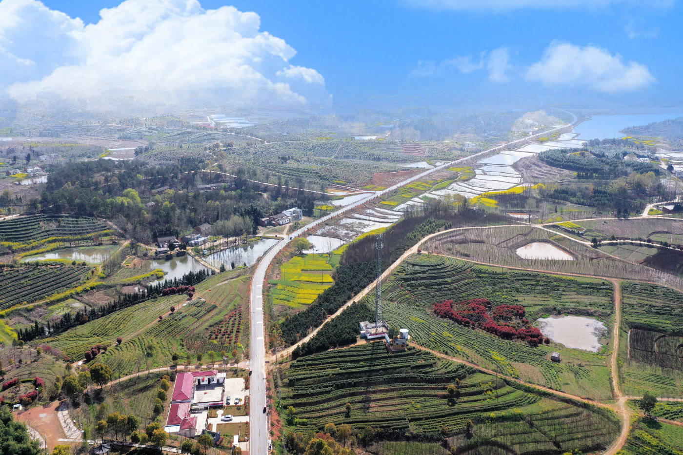 河南光山：万亩茶园“云上”秀，全网隔屏闻茶香