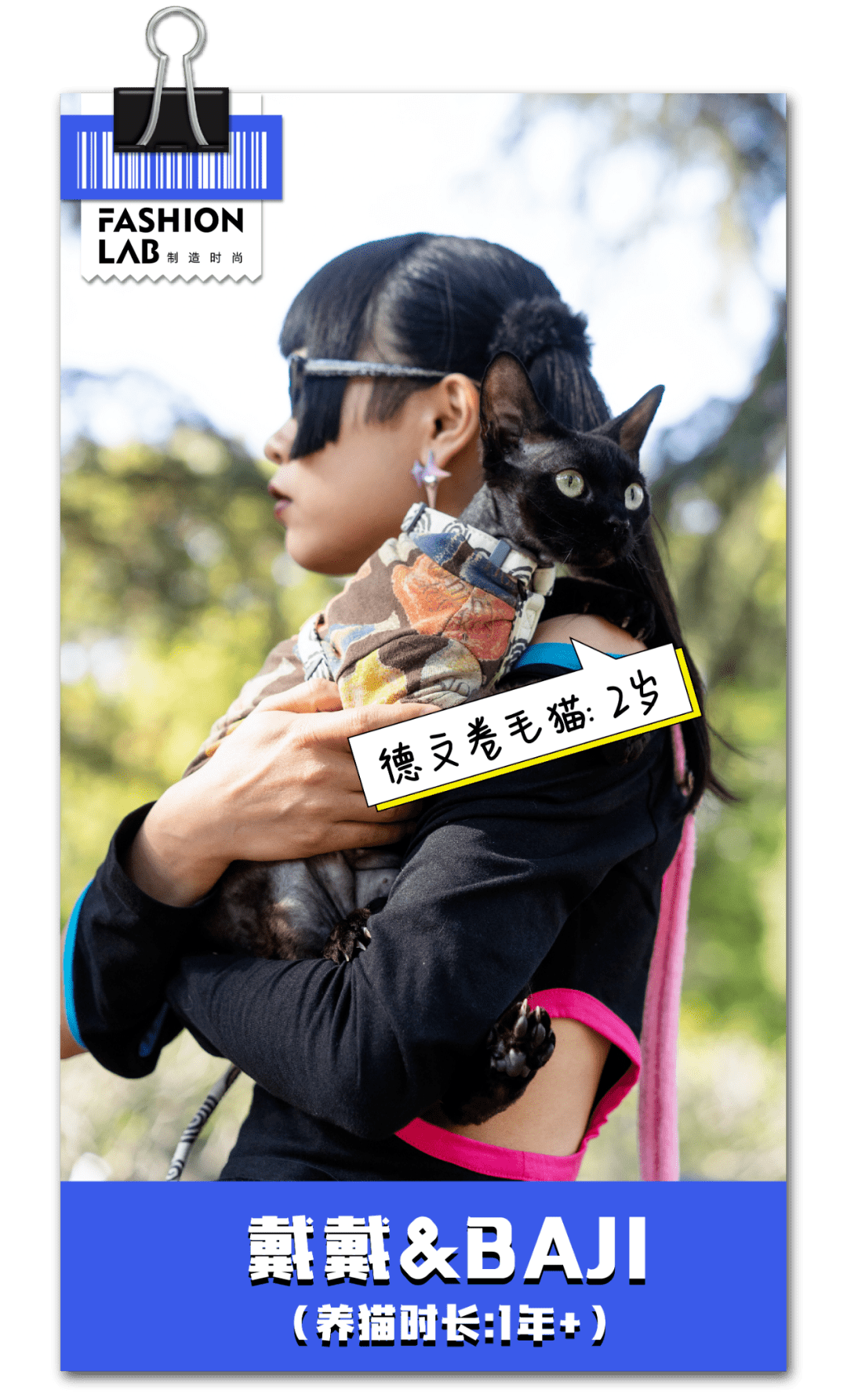 请查收你的撸猫邀请函 养猫
