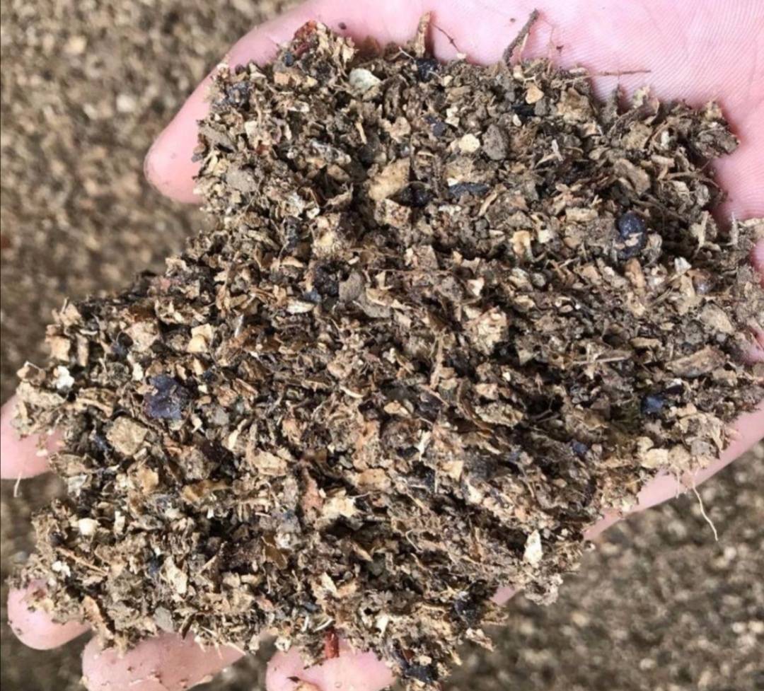 原创在家自制营养土松软透气养分足轻松养好各种花