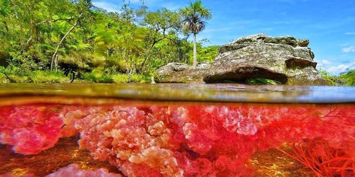 一条会变化色彩的河，根据水温切换颜色，只有素颜才能参观