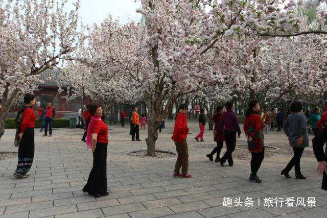 这个公园创下了4个北京之最，一个全国第一，地铁直达门票免费