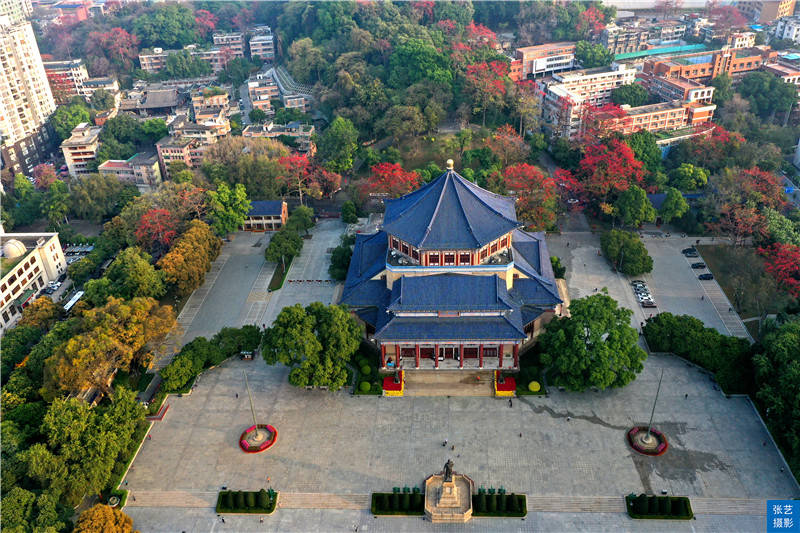木棉报春早 红遍英雄城，广州中山纪念堂藏着一棵350岁木棉王