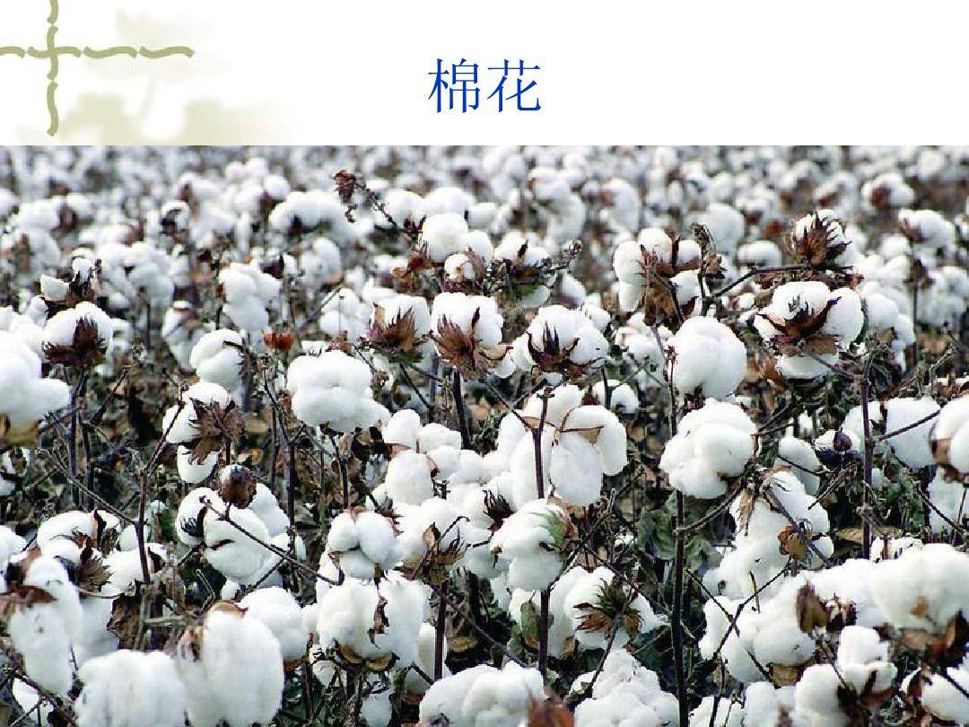 大国博弈下法务如何防范规避敏感政治事件带来的商业风险