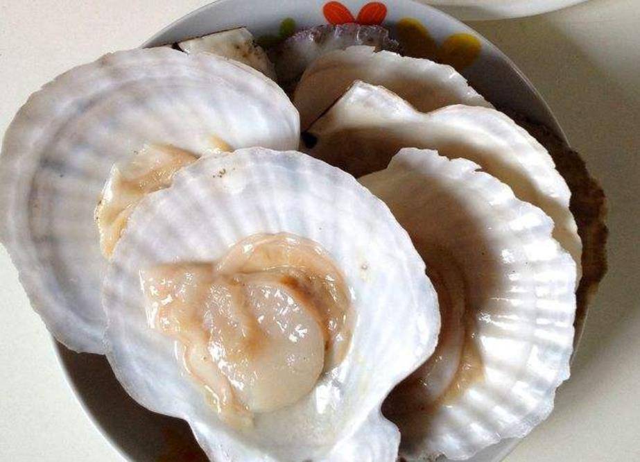 九个月宝宝能吃什么海鲜 7a47d7bfeadd4400bc0bb48f2a019f63.jpeg