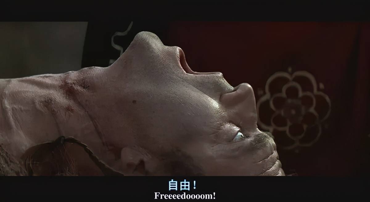 小时候没看懂,成人后才发现《鬼子来了》藏着这么多隐喻与暗讽