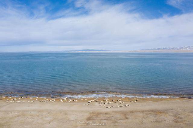 青海湖的冬季媲美贝加尔湖，景色一流