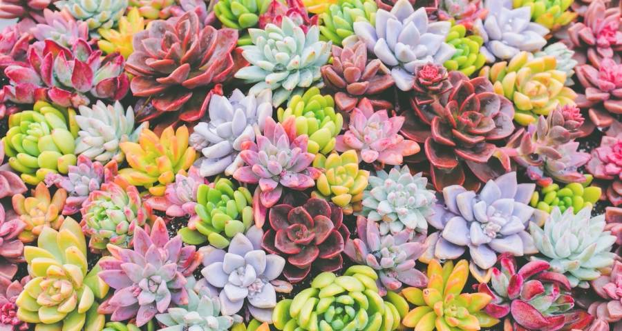 白电拼生态黑电比场景厨电论技术，海尔海信格兰仕格力方太领跑-家电圈官网