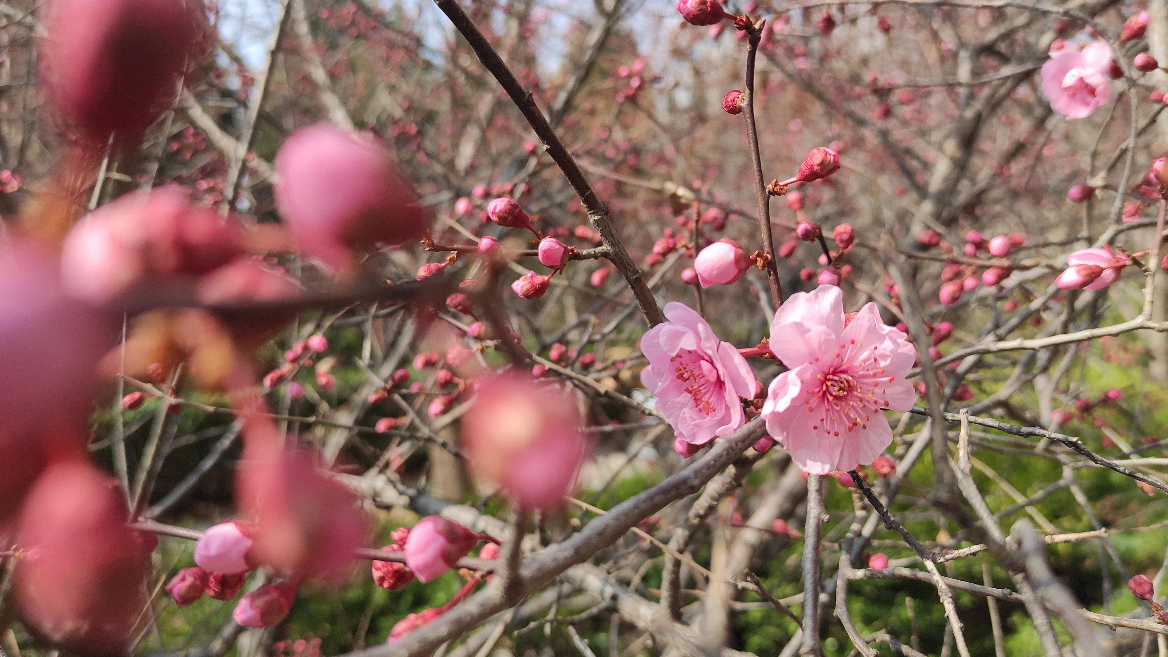 从3月29日开始 运势红火 会福财两旺 开心到永远的四大星座 工作
