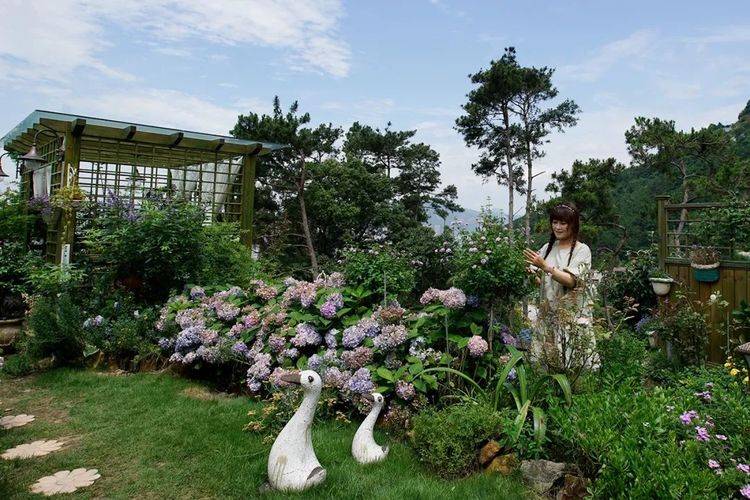 她花300万在福建荒山，造1500㎡私家花园，40岁便退休养老！