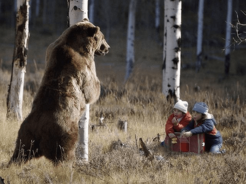 日本三毛别罴事件:色熊专挑女村民下手,警民集结600人才捕杀