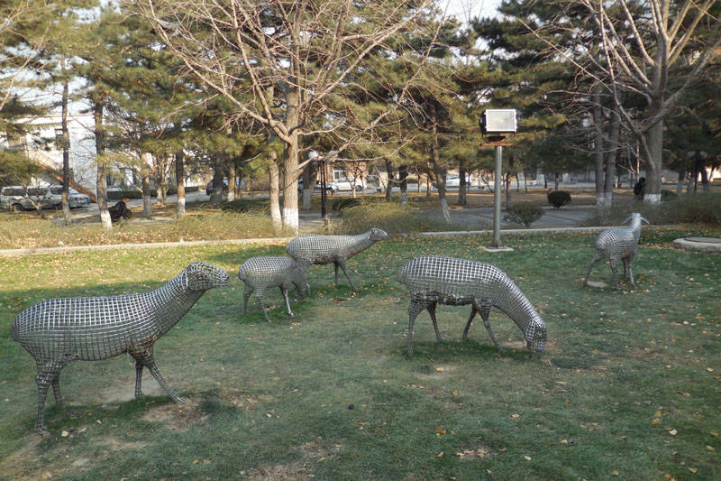 中国农业大学校园环境怎么样？园内雕塑让人称奇