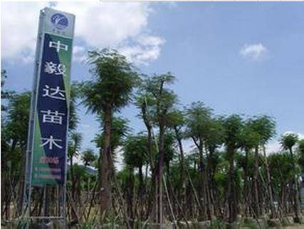 ST毅达信披违法前董事长遭罚 申辩称帮朋友忙