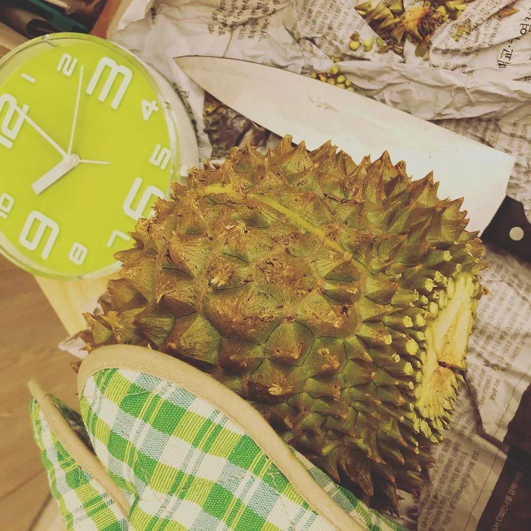 甲仑榴莲的特点是什么:甲仑榴莲的优缺点是什么