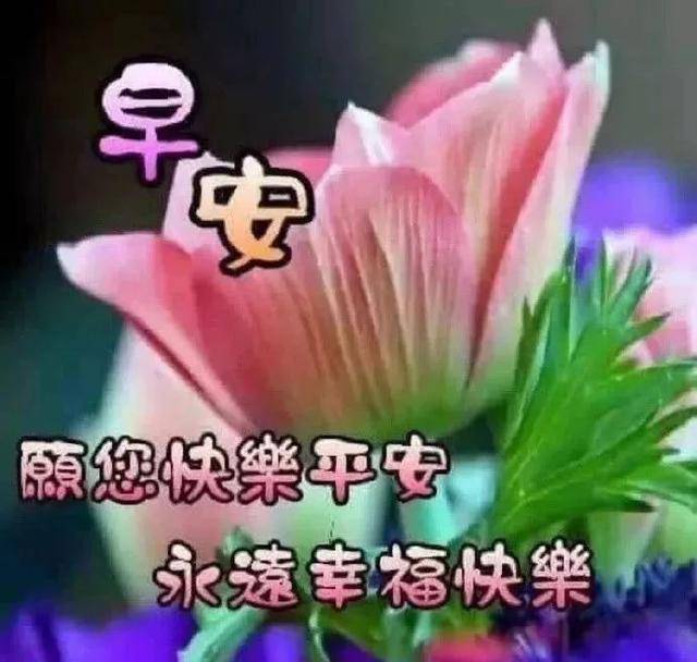 原創2021年早上好帶字圖片表情,早安鮮花圖片大全,祝福圖片