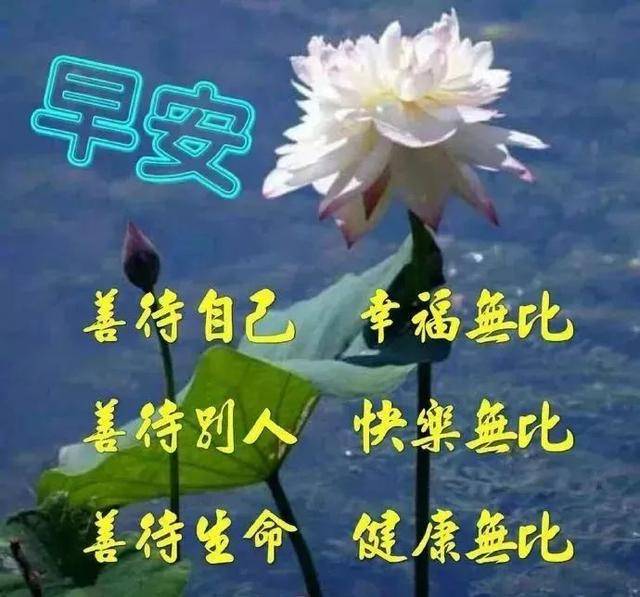 e8b7048cfae54ced9fac3e847582be1f.jpeg