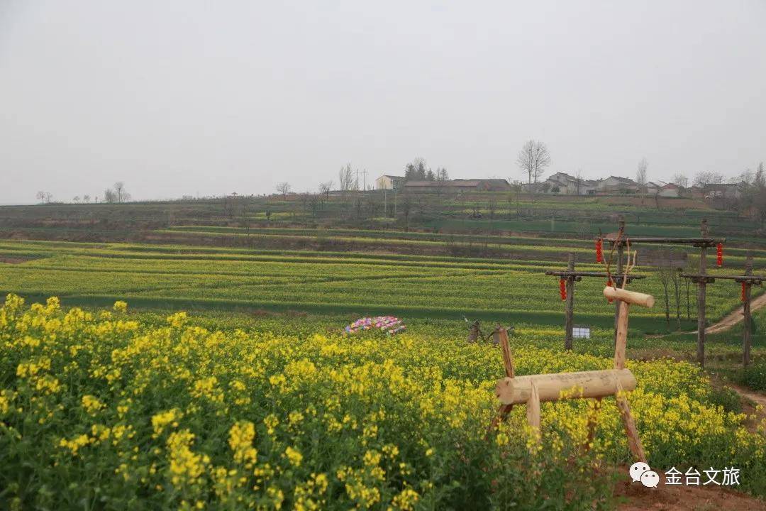 四川有哪些对湖北人免费的景点（汉中油菜花节还举办吗活动详情）