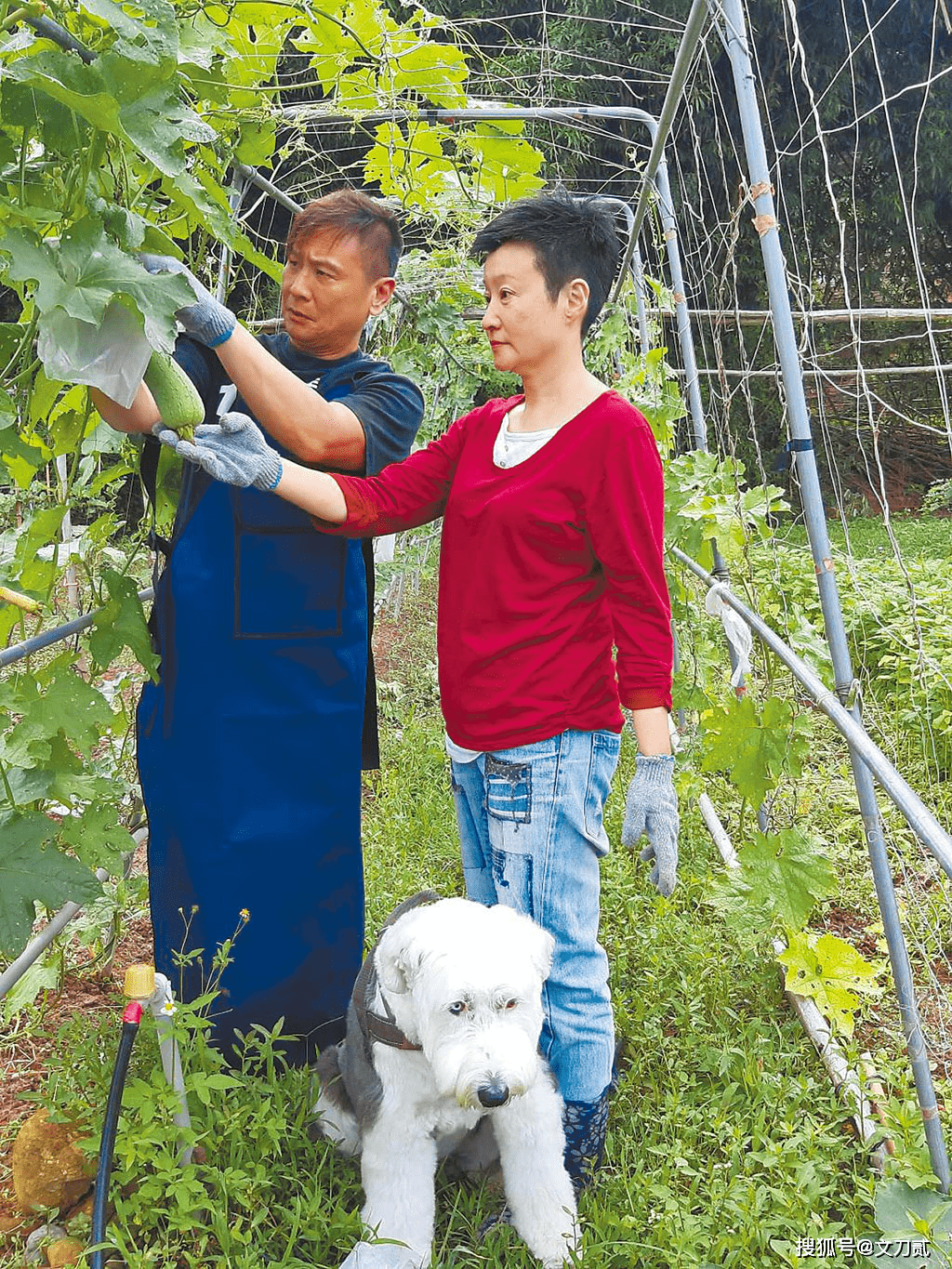 原创台湾吴孟达张世让央视钦定田蚡演技被北电当教材