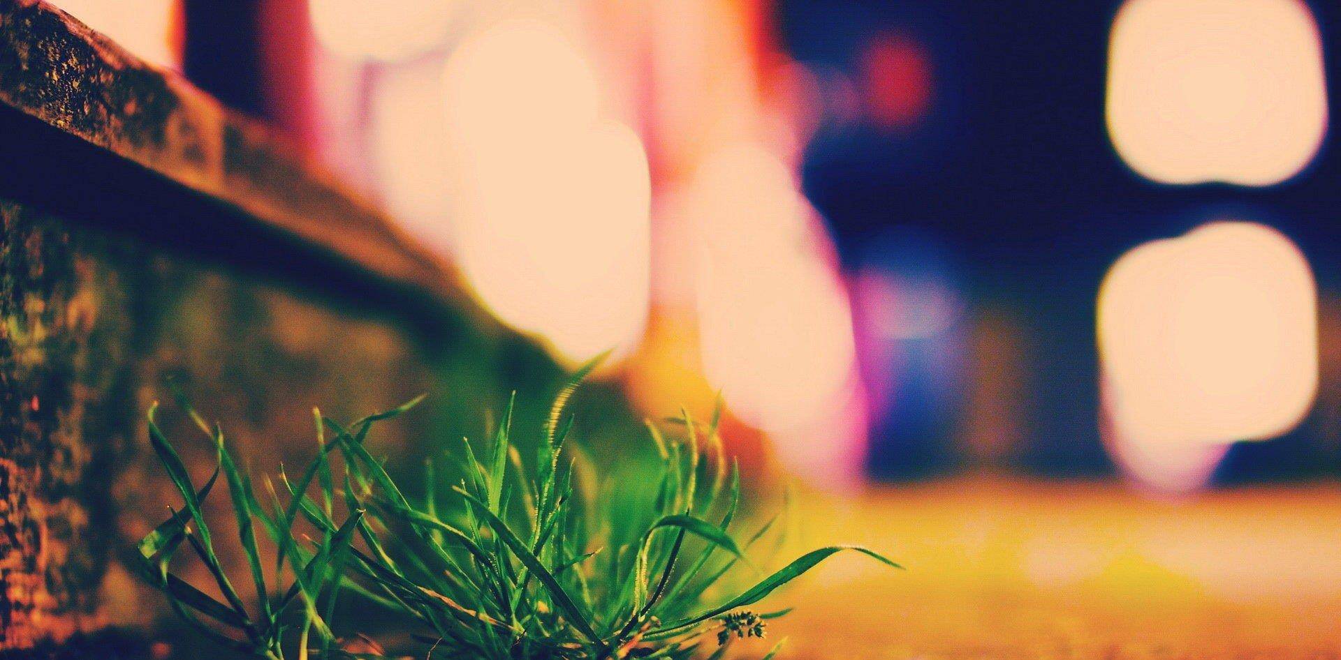 世俗的快乐 5169f05976cb47a7bfb77d6e5f5c4416.jpeg