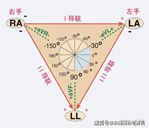 心電圖學習與總結_心臟