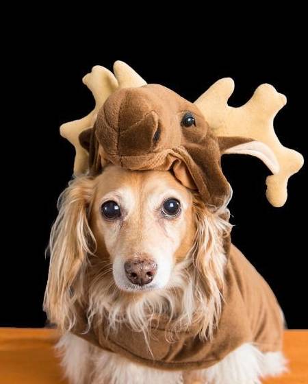 开心一刻笑话:跟朋友去下馆子,在酸菜鱼里看见了只苍蝇 | 微头条