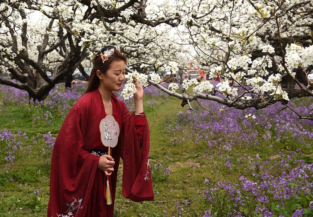 國色天香碭山梨花節