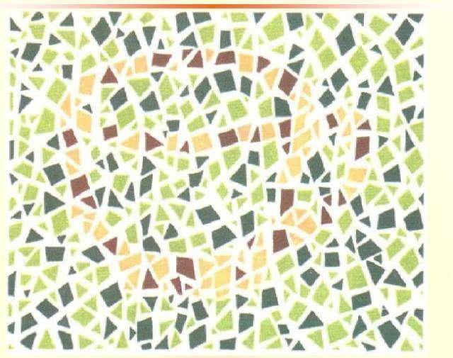 驾考色盲测试:这些图片很简单,看不出来,基本与驾照无缘