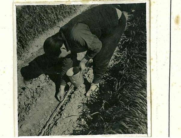 从上肥到播种1939年日本人全方位拍摄我国农业种植连种子都拍亚新体育(图4)