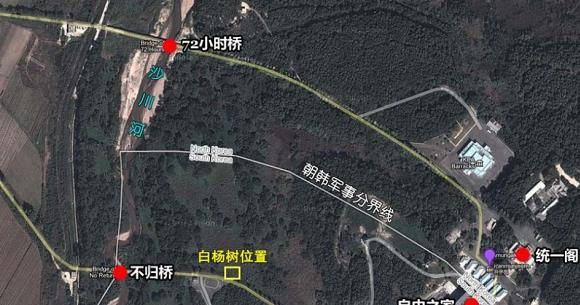 板门店一颗白杨树,差点引发二次朝战,朝军当场砍死2名美军