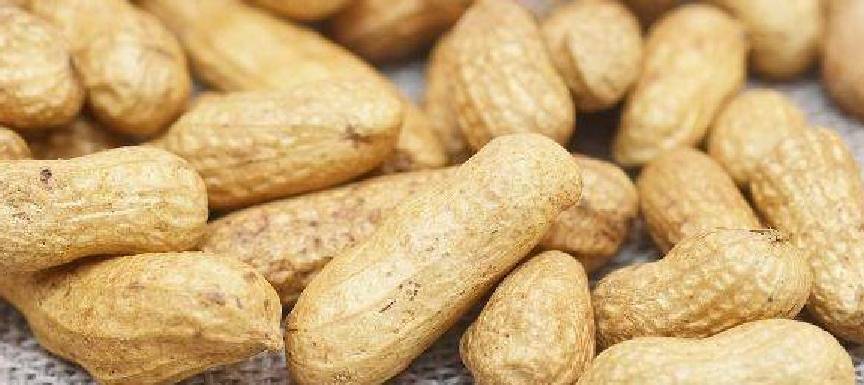 什么是高渗性食物 2b2328f38a184ae38aa3e66e1e516ee1.jpeg