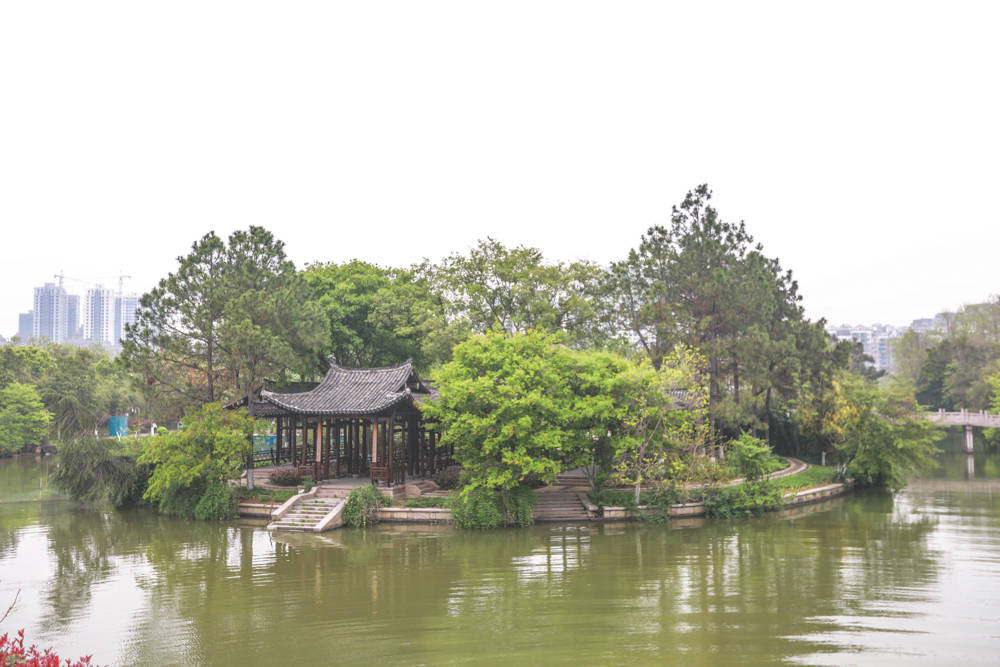浙江温州有一处湿地，有161个小岛，被誉为浙南“威尼斯”