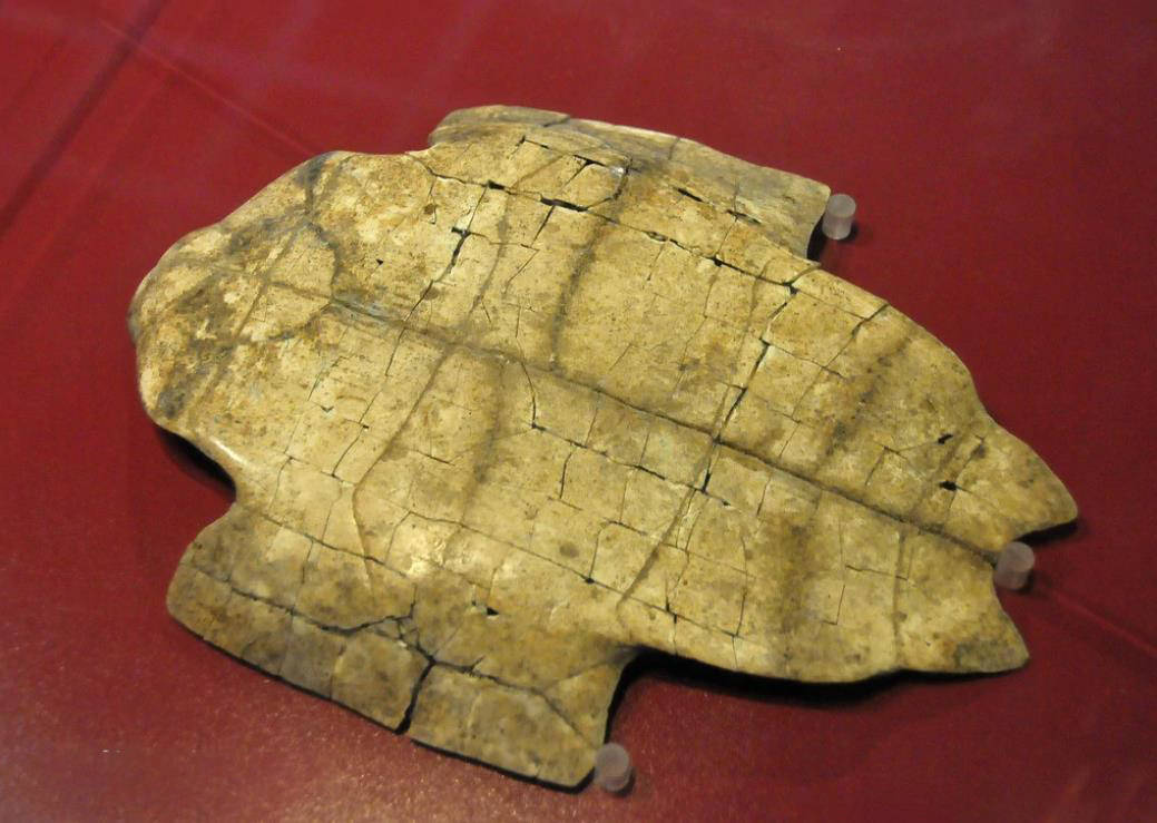 骨研究与游历,期间便在其笔记《洹洛访古游记》中也如实地记录了当时