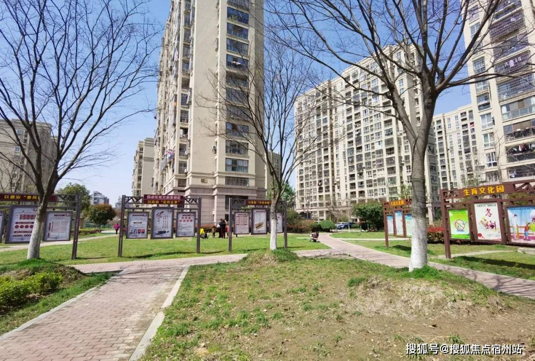 嘉兴拆迁房,也有春天_云东