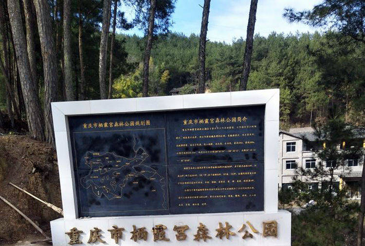 重庆云阳县一个镇，和山东一县级市同名，拥有油菜花海