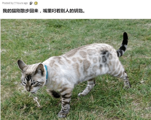 0dcd119b886748d8bfa468cb0c10d579.png