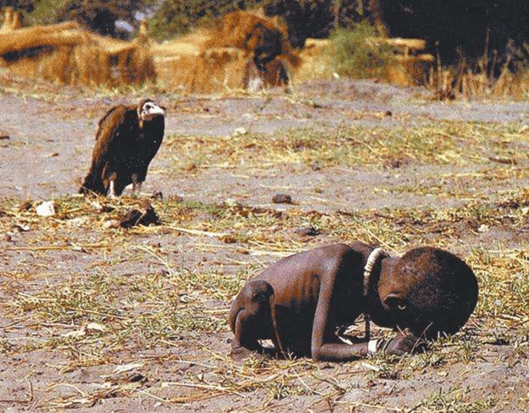 秃鹫吃小孩图片