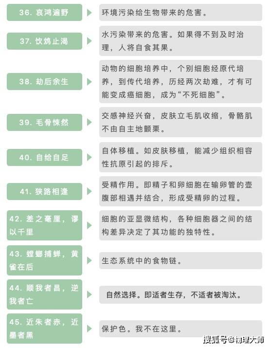 成语物什么换_成语故事简笔画