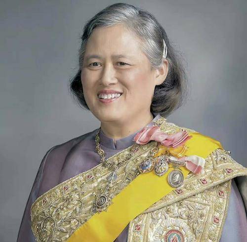 苏提达发跪拜漫画为诗琳通庆生,抱紧大腿,感谢她对自己的关怀_公主