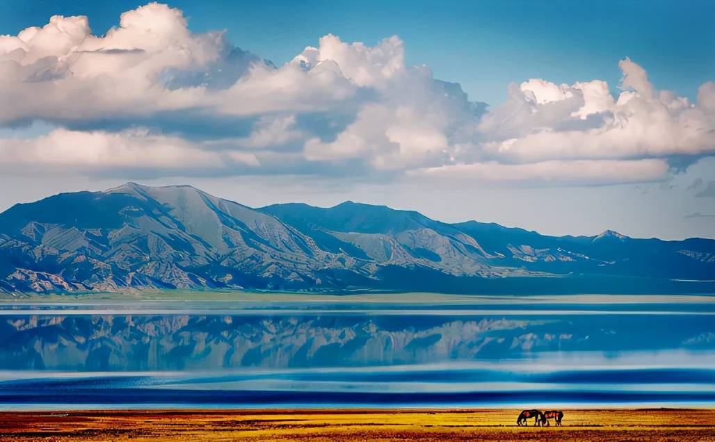来自新疆的“异国风情”，全自然生态景象令人向往！